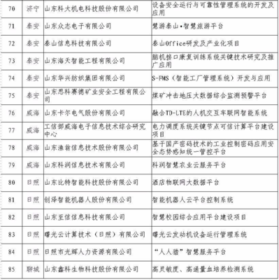 日照5家企業入選省級重點項目名單，引領網絡與信息安全軟件開發新浪潮